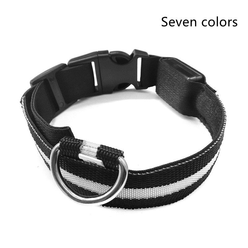 Pets luminous collar from paetown