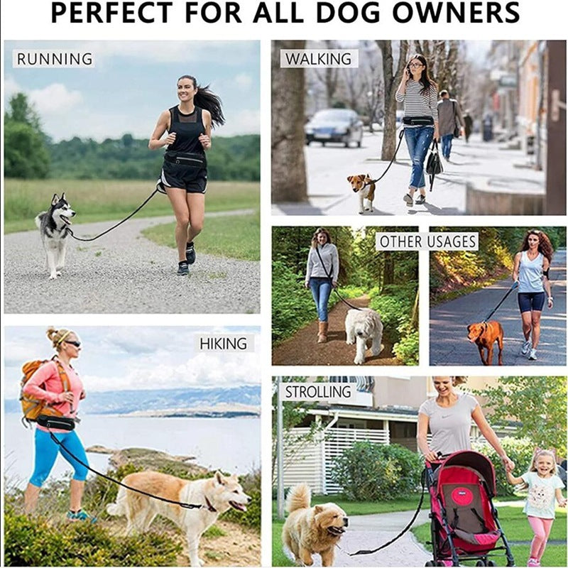 Pet walking leash from paetown