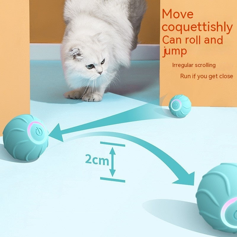 Automatic bouncing ball from paetown store