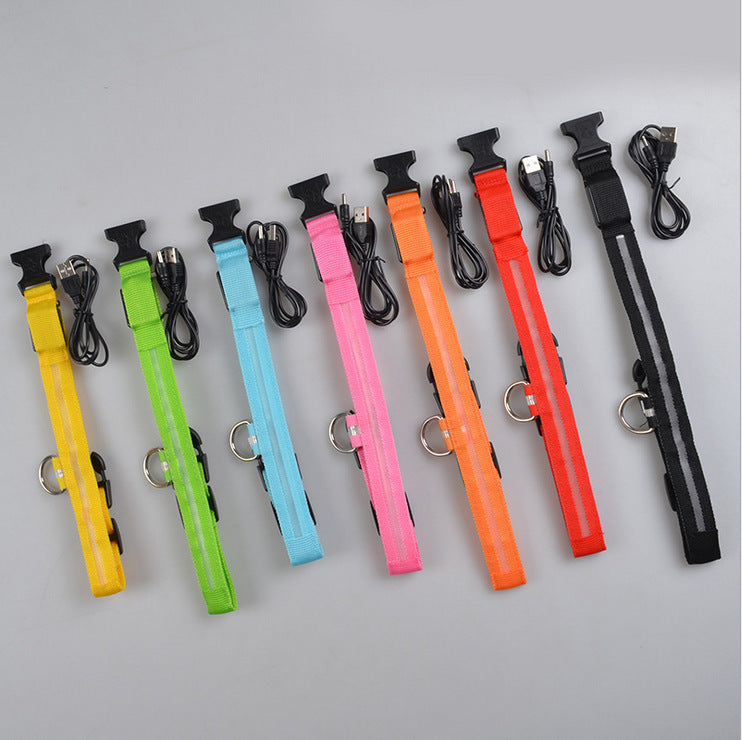 Pets luminous collar from paetown