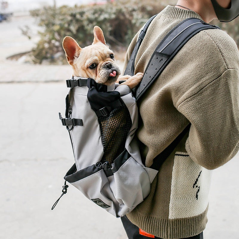 Pet bags carriers from paetown store