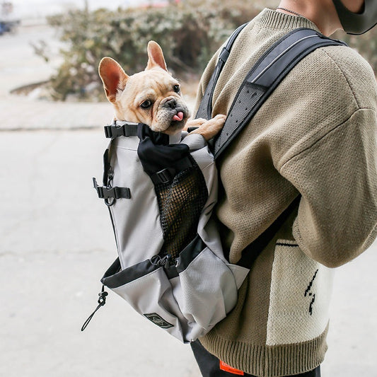 Pet bags carriers from paetown store