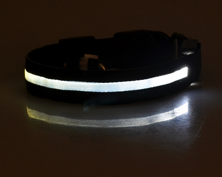 Pets luminous collar from paetown