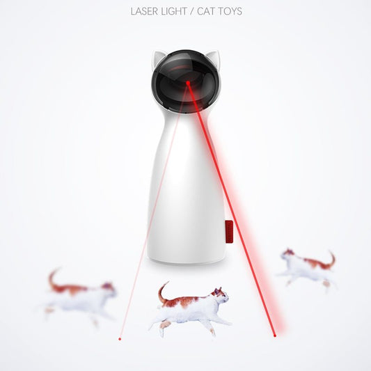 Pets exercise training toys from paetown store