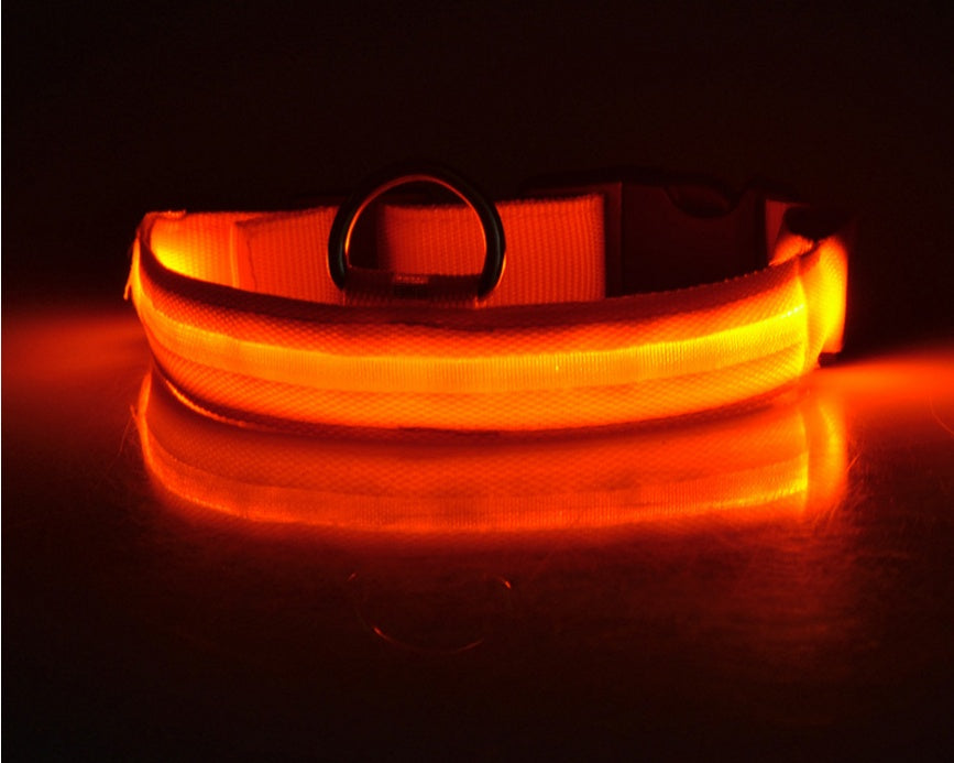 Pets luminous collar from paetown