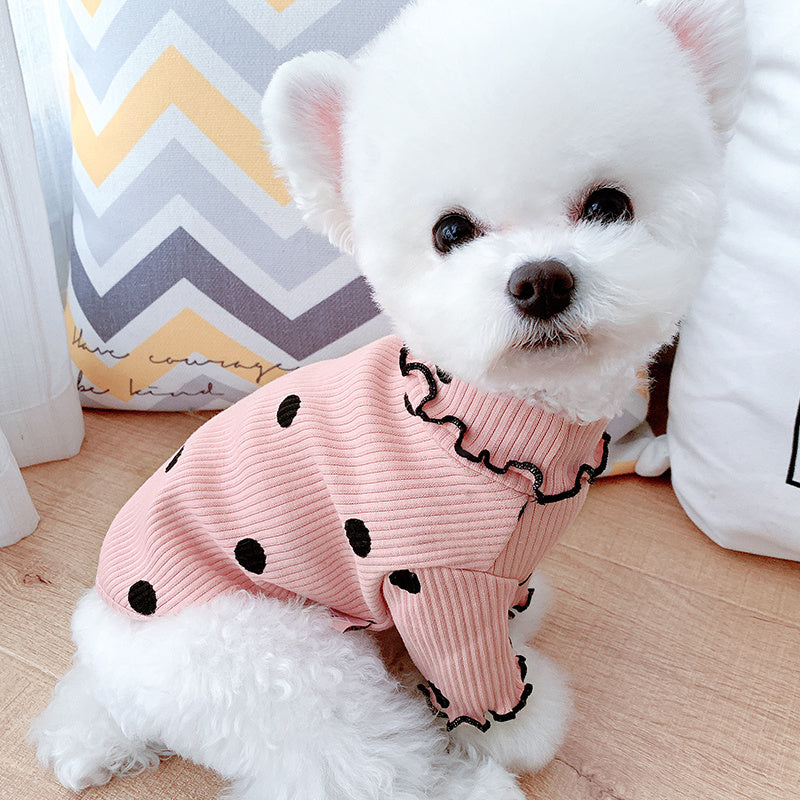 Dog turtleneck from paetown store