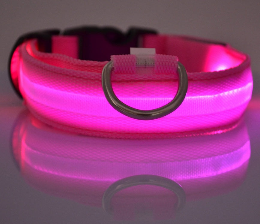 Pets luminous collar from paetown