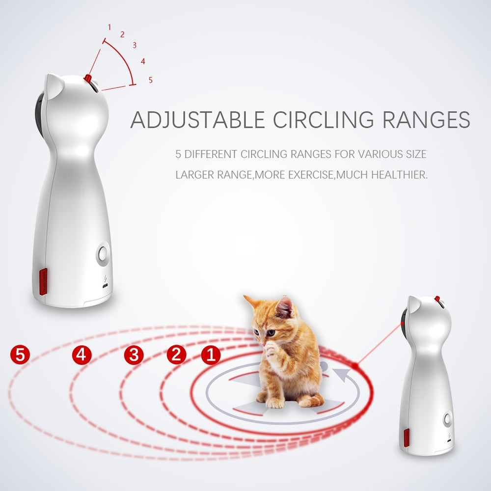 Pets exercise training toys from paetown store