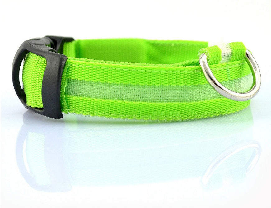 Pets luminous collar from paetown
