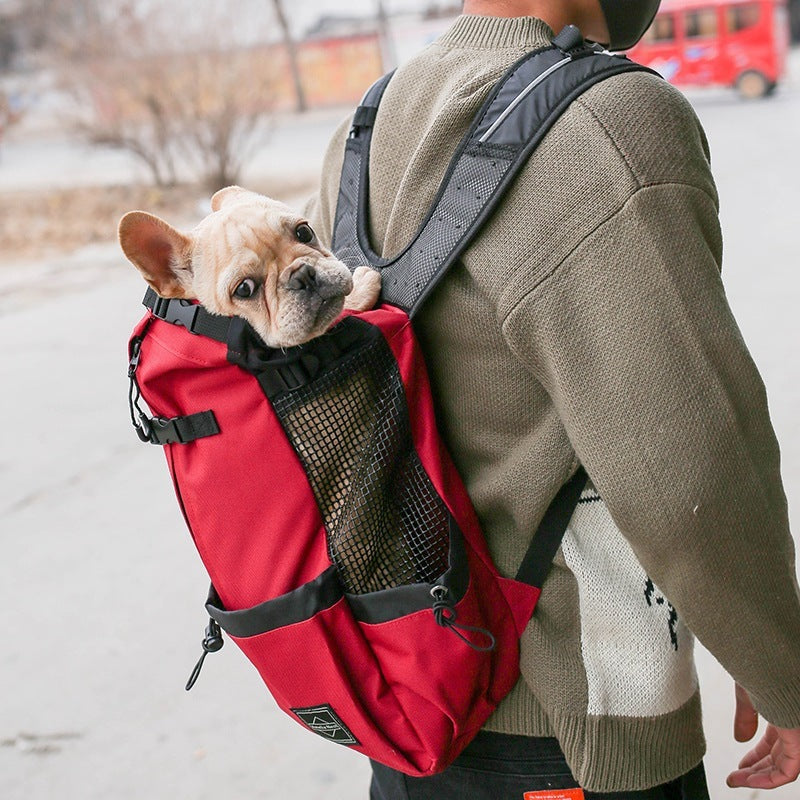 Pet bags carriers from paetown store