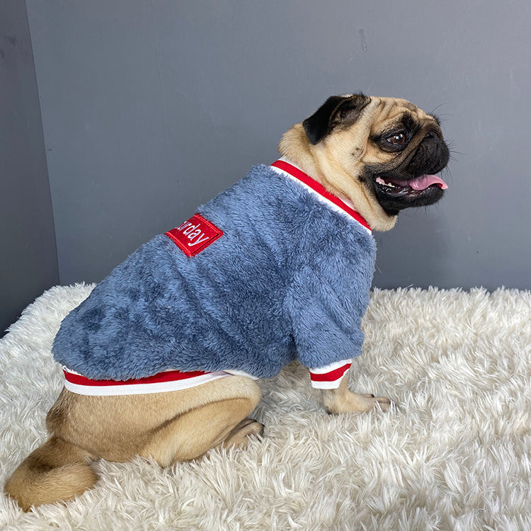Pet sweater from paetown store