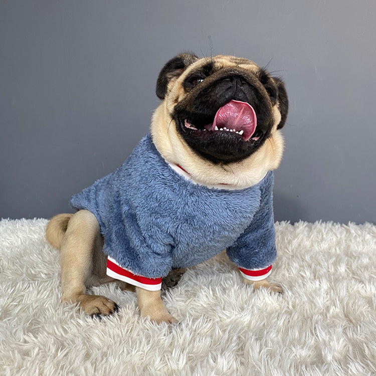 Pet sweater from paetown store