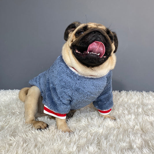 Pet sweater from paetown store