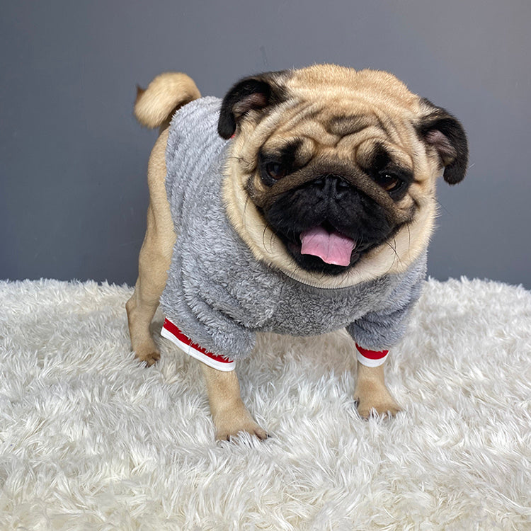 Pet sweater from paetown store