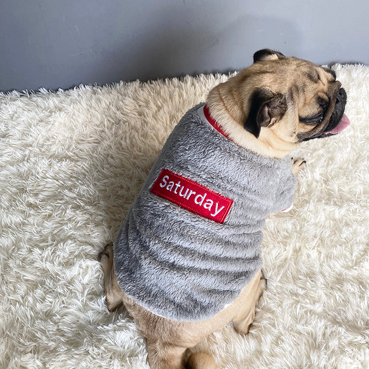 Pet sweater from paetown store