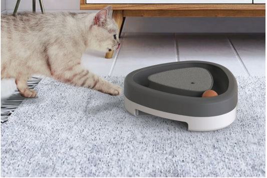 Cat self-hey smart toys from paetown store