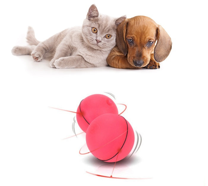 LED laser toy cat ball from paetown store