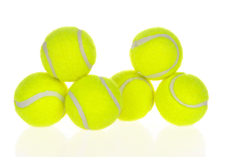 Pets interactive ball launcher from paetown