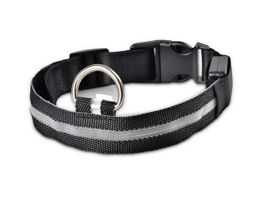 Pets luminous collar from paetown