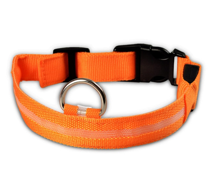 Pets luminous collar from paetown