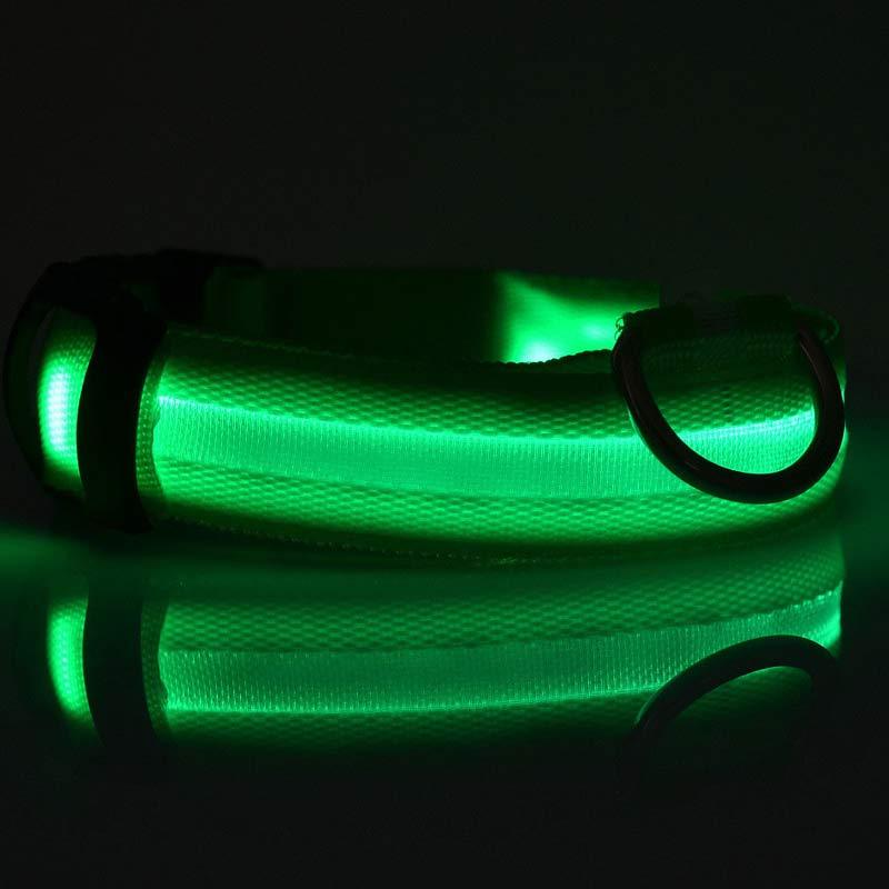 Pets luminous collar from paetown
