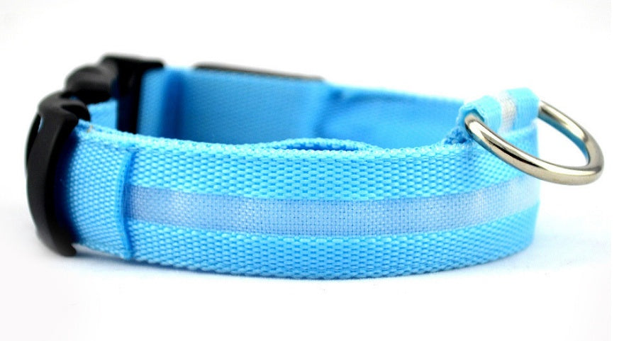 Pets luminous collar from paetown