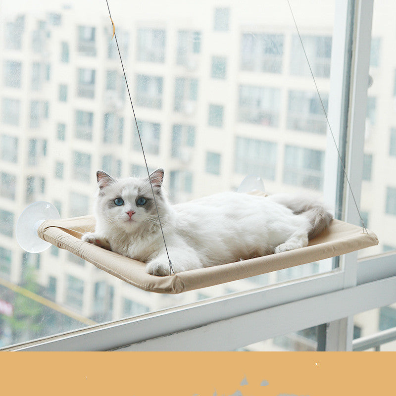Cat window hammock from paetown store