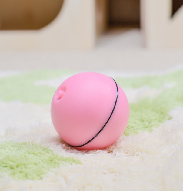 LED laser toy cat ball from paetown store