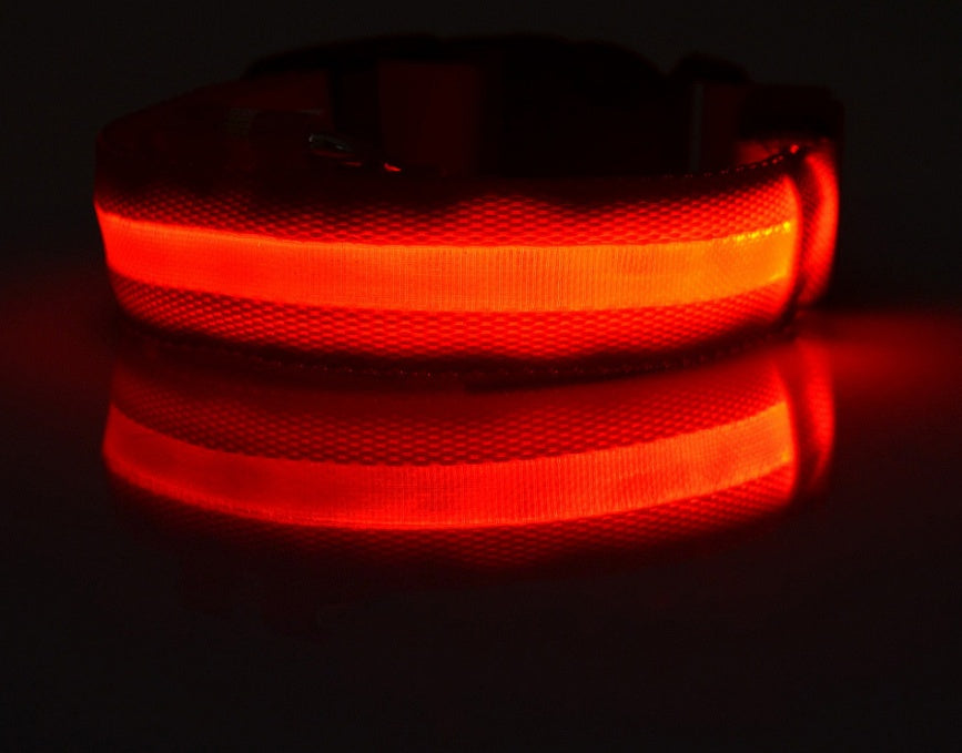 Pets luminous collar from paetown