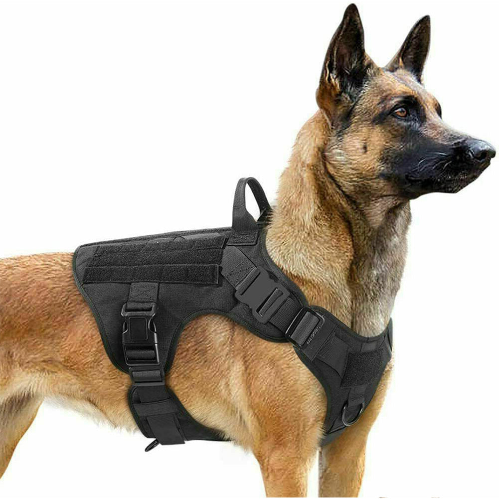 Adjustable pets herness from paetown store on a dog, showcasing its durable design and tactical features.