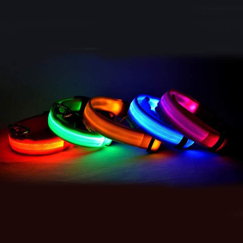 Pets luminous collar from paetown