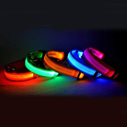 Pets luminous collar from paetown