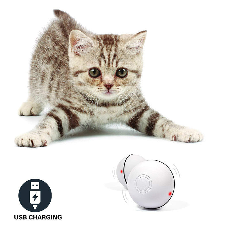 LED laser toy cat ball from paetown store