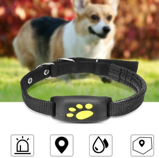 GPS pets tracker from paetown store