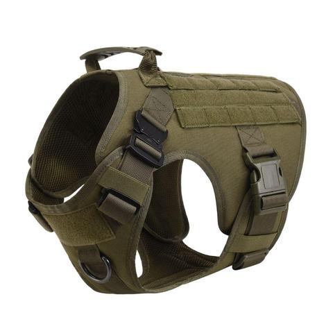 Adjustable pets herness from paetown store