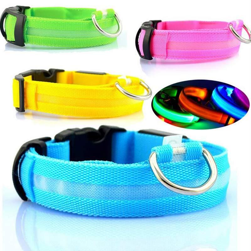 Pets luminous collar from paetown