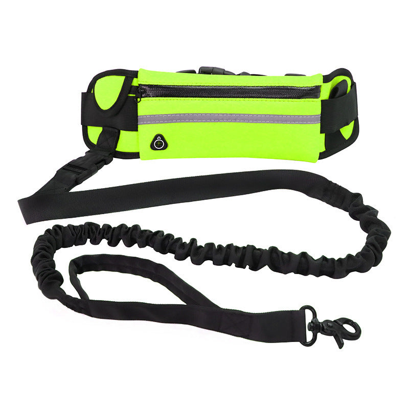 Pet walking leash from paetown