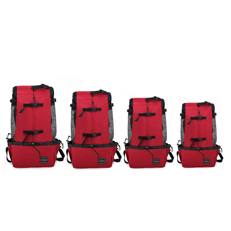 Pet bags carriers from paetown store