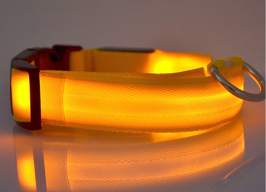 Pets luminous collar from paetown