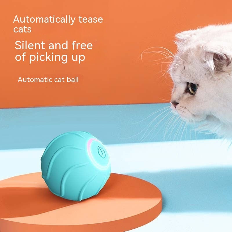 Automatic bouncing ball from paetown store