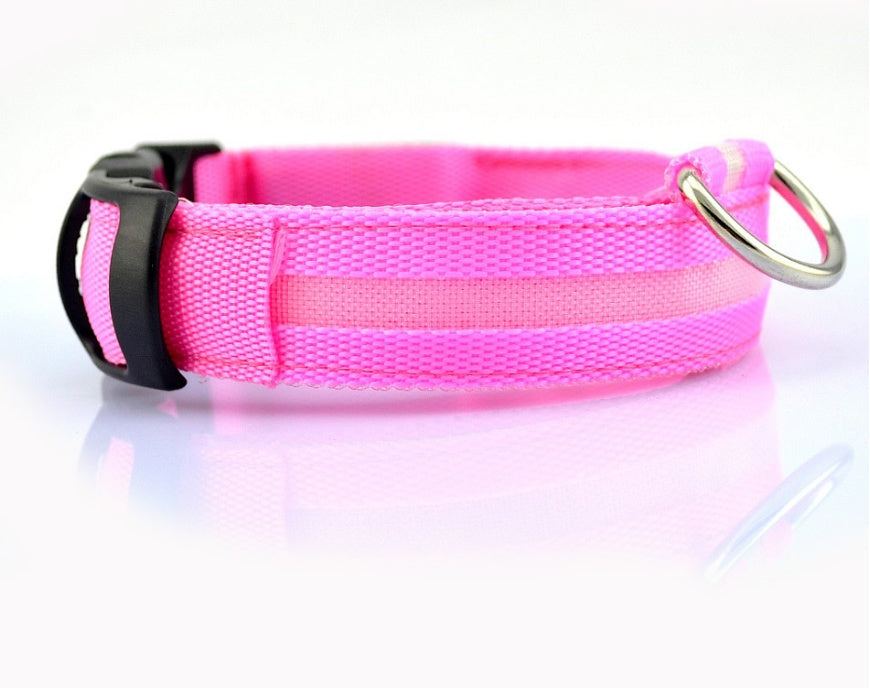 Pets luminous collar from paetown