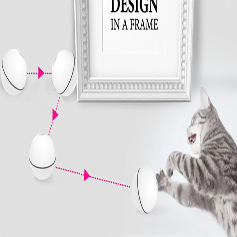 LED laser toy cat ball from paetown store