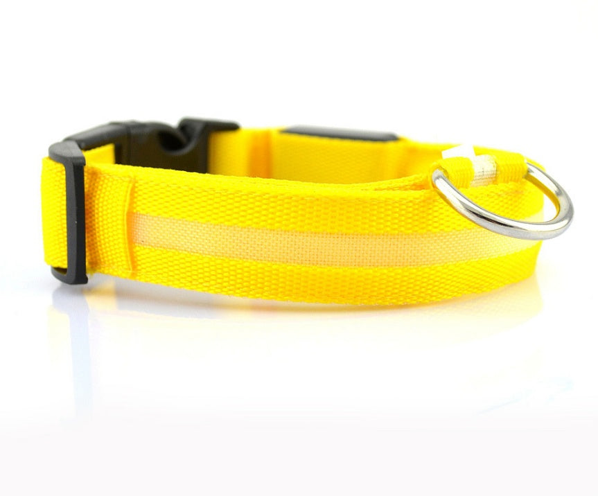 Pets luminous collar from paetown