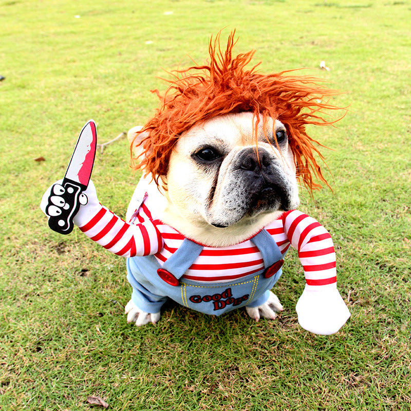 Halloween pet clothes from paetown store