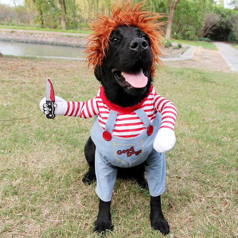 Halloween pet clothes from paetown store