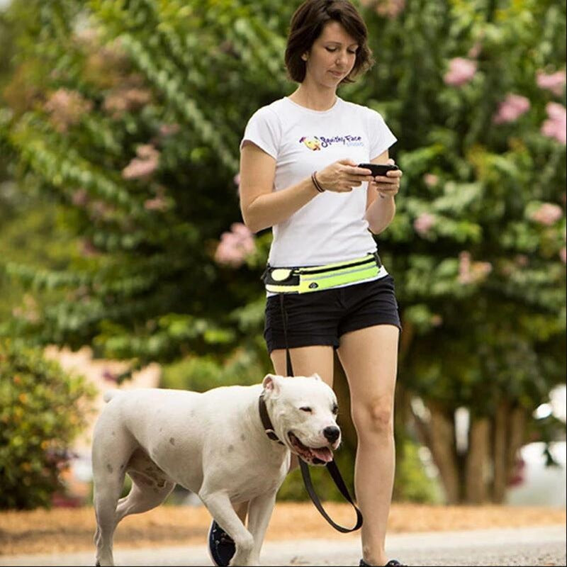 Pet walking leash from paetown