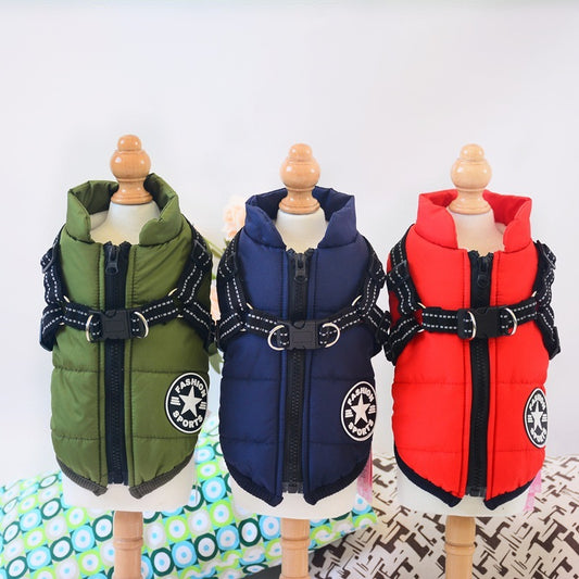 waterproof dog clothe from paetown stores