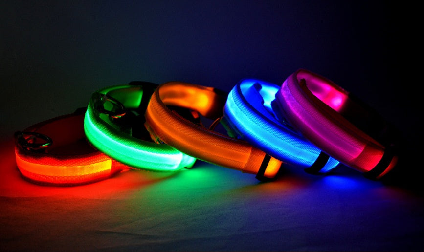 Pets luminous collar from paetown