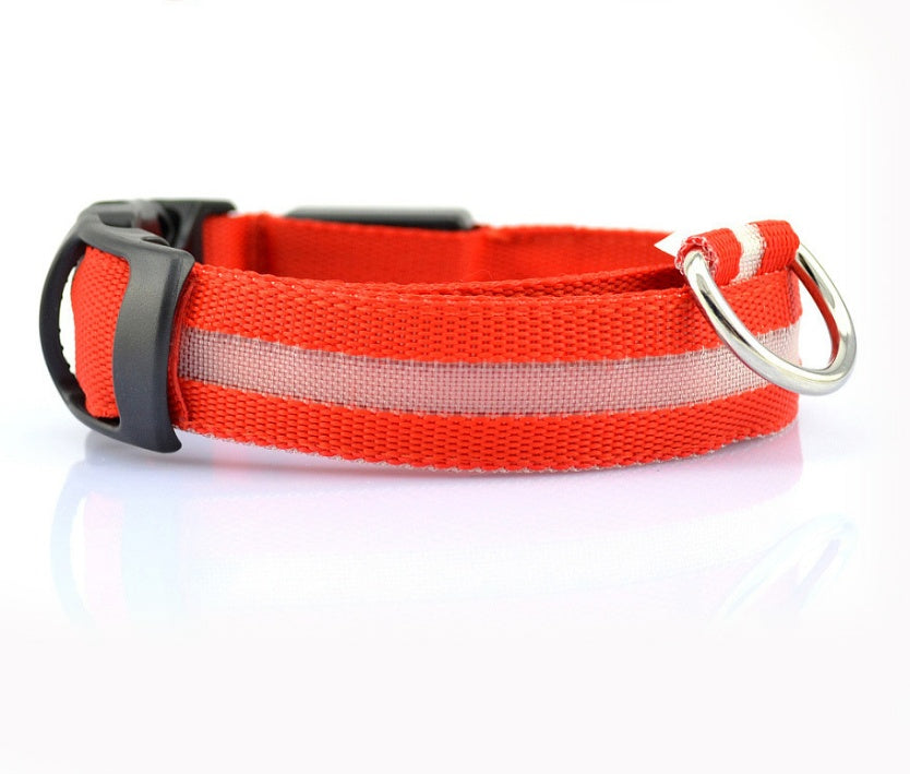 Pets luminous collar from paetown