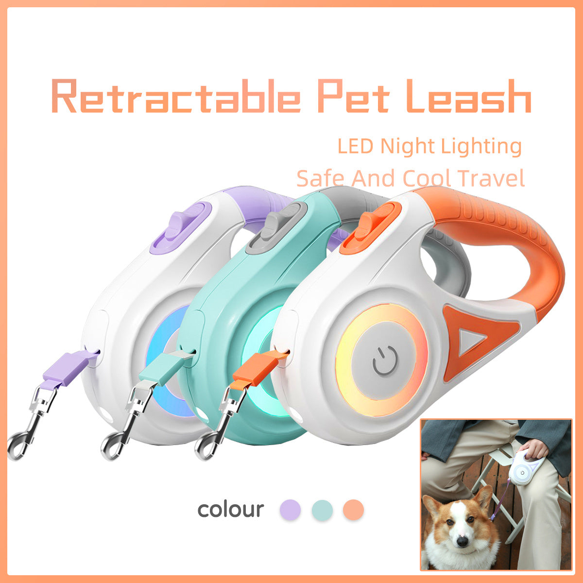 Dog retractable leash from paetown